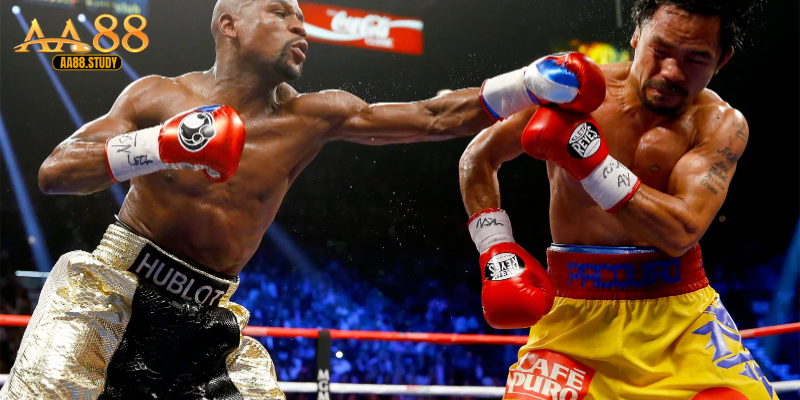 Boxing Tại AA88 – Trải Nghiệm Cá Cược Quyền Anh Đỉnh Cao - GOLDFLAME69