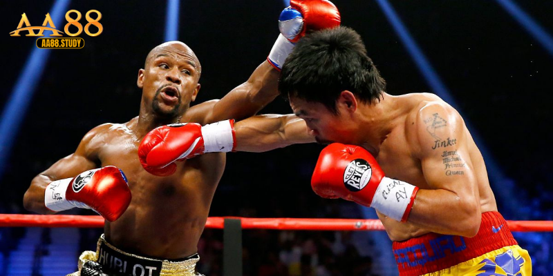 Boxing Tại AA88 – Trải Nghiệm Cá Cược Quyền Anh Đỉnh Cao - GOLDFLAME69